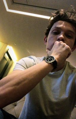 Roommates (Tom Hollandxreader) COMPLETED cover
